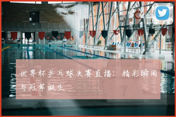 世界杯乒乓球决赛直播：精彩瞬间与冠军诞生