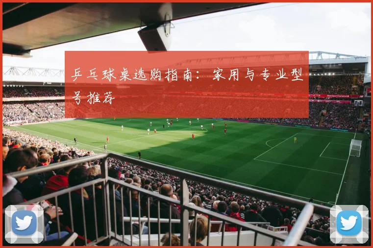 乒乓球桌选购指南：家用与专业型号推荐